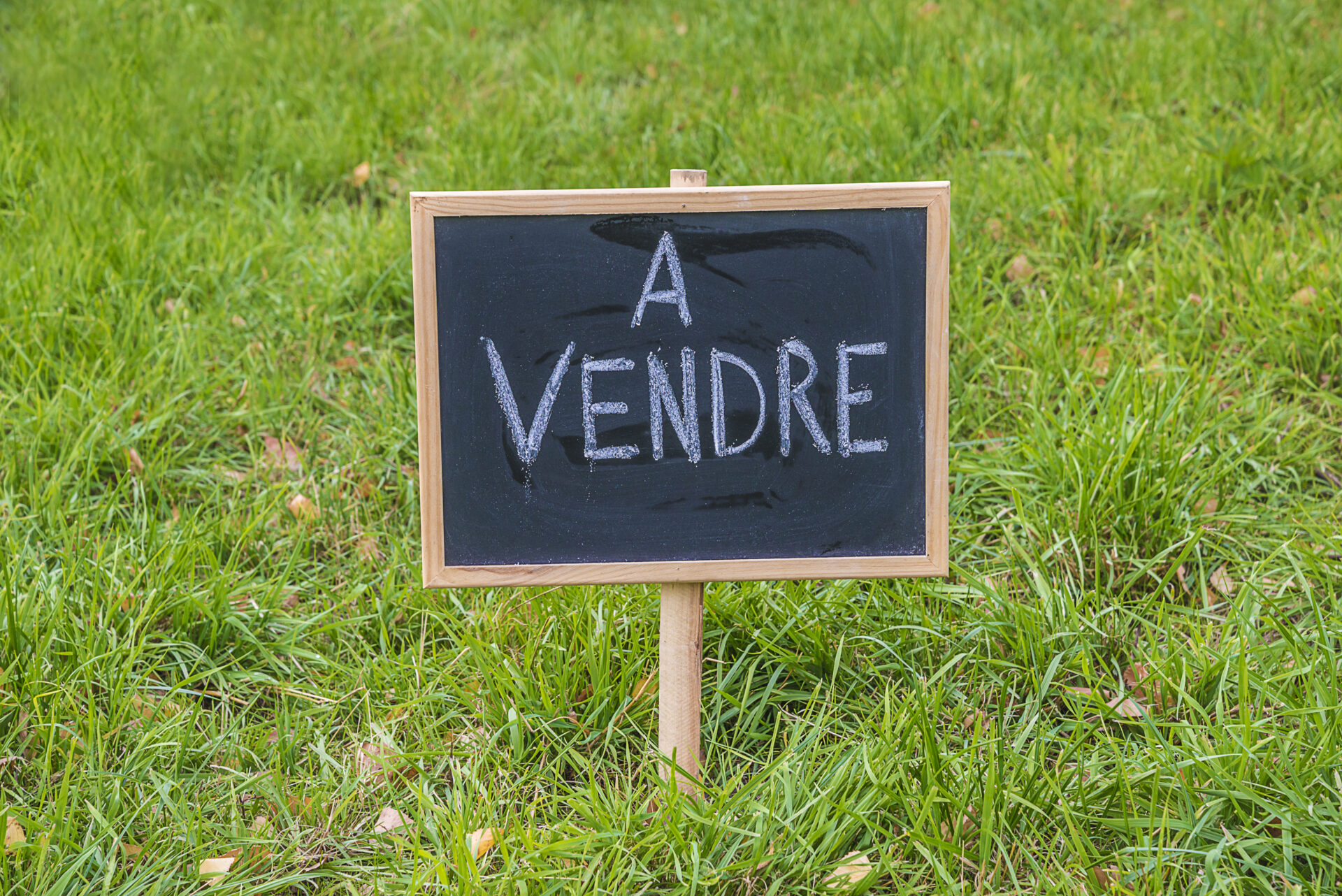 Photo de l'annonce